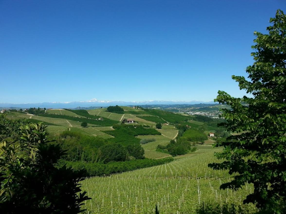 Ca Trifolera Barbaresco: Romantic Wine Estate in Langhe Exterior photo