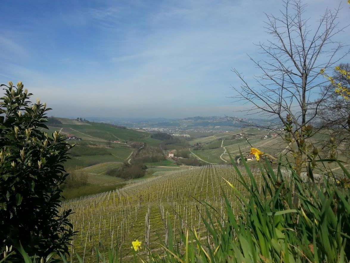 Ca Trifolera Barbaresco: Romantic Wine Estate in Langhe Exterior photo
